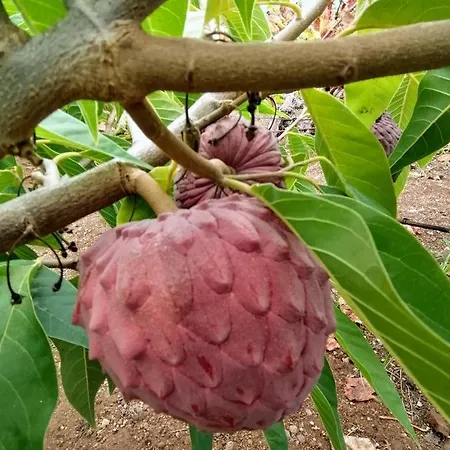 Casa vacanze Vinas 2