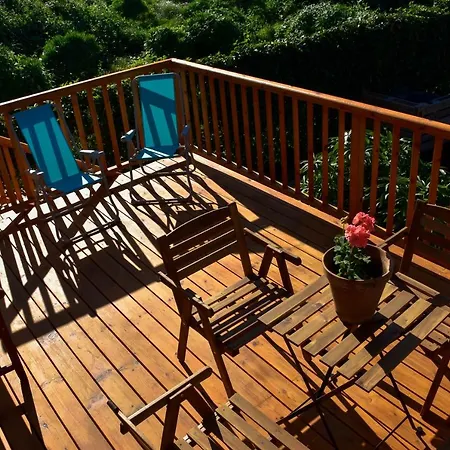 Vinas 2 Icod De Los Vinos