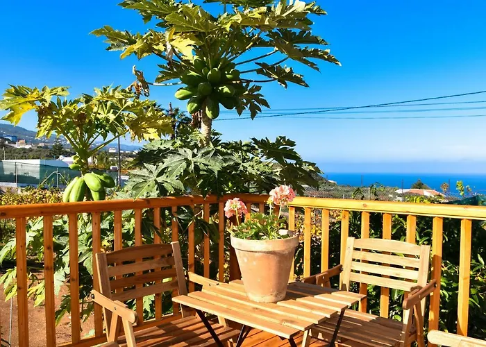 度假居 Vinas 2 伊科德·德·洛斯·维诺斯