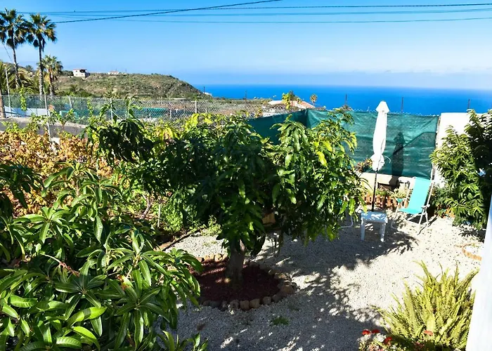 Vinas 2 * 伊科德·德·洛斯·维诺斯