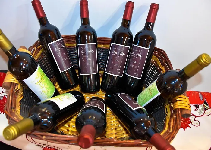 Ferienhaus Vinas 2 Icod De Los Vinos